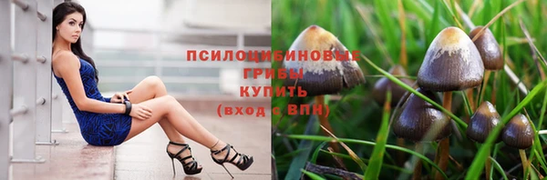 соль курить ск Богородск