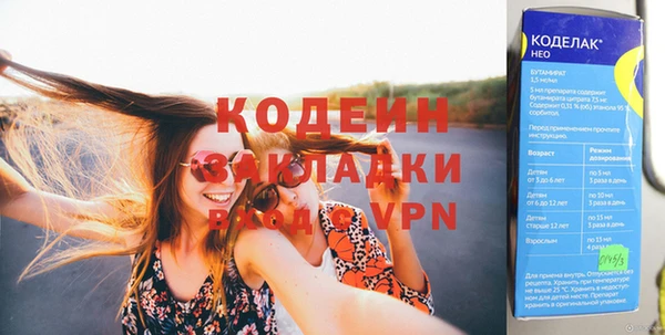 дмт Бородино