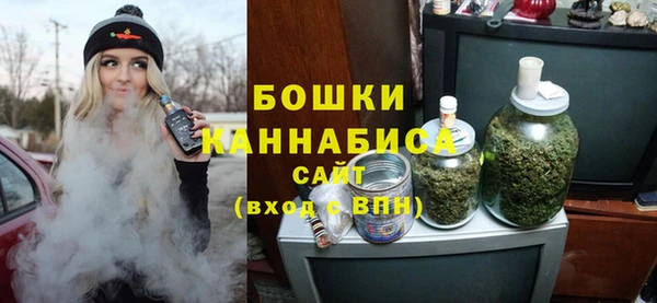 стафф Богданович